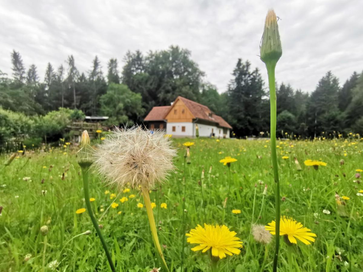 Ferienhaus Grabenhansl Штубенберґ-ам-Зе Екстер'єр фото