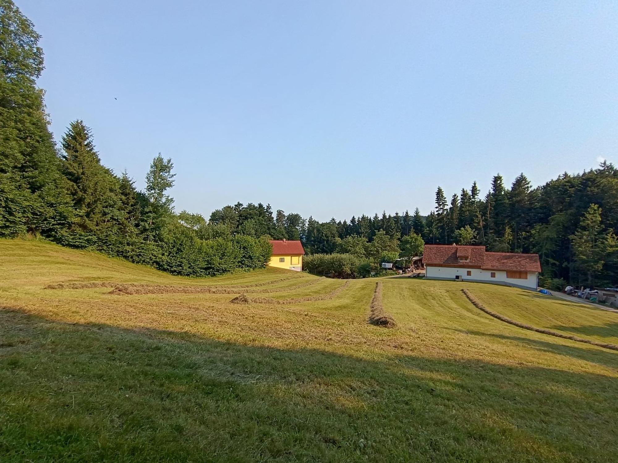 Ferienhaus Grabenhansl Штубенберґ-ам-Зе Екстер'єр фото